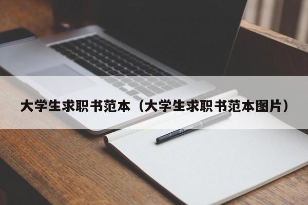 大学生求职书范本（大学生求职书范本图片）