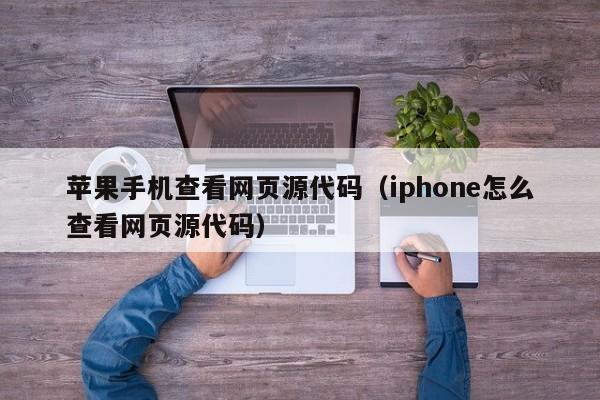 苹果手机查看网页源代码（iphone怎么查看网页源代码）